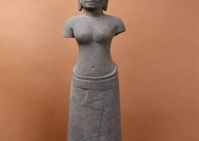 Tara
