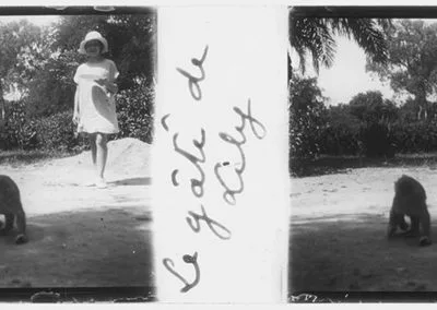 Le gâté de Lily, s.d.