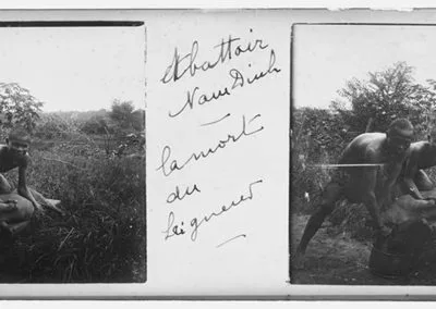 Abattoir Nam Dinh, la mort du seigneur, s.d.