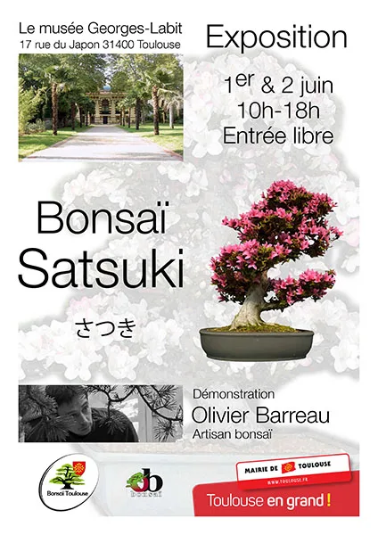 Des printemps et des automnes : bonsaï