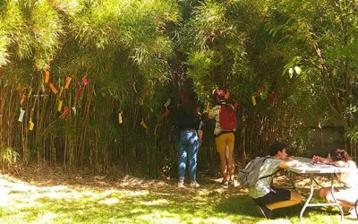 TANABATA : Fête des étoiles – Faites un vœu !