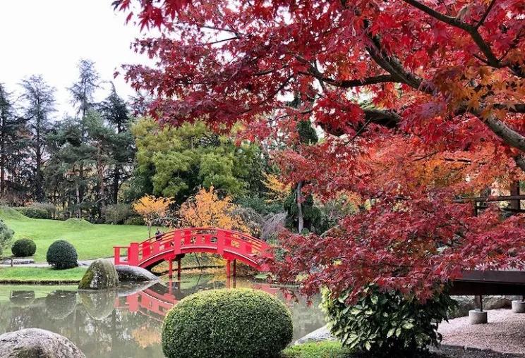 Momiji à Toulouse